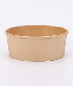 Paper Bowl